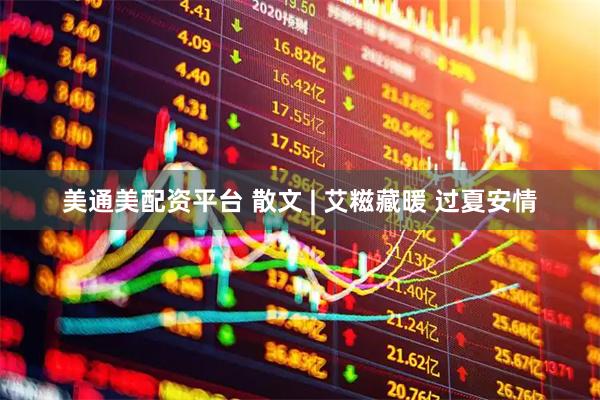 美通美配资平台 散文 | 艾糍藏暖 过夏安情